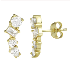 Multiple Stone Earring