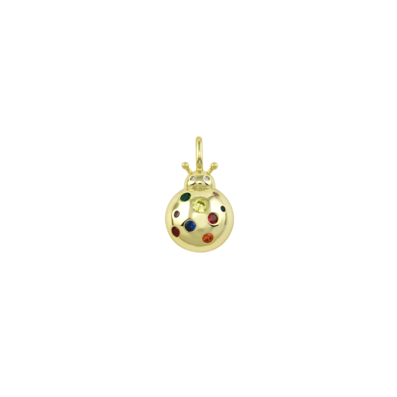 LadyBug Charm