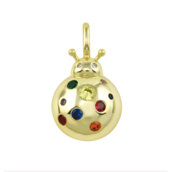 LadyBug Charm