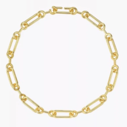 Oval Thick Link Necklace