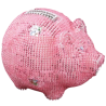 Piggy Bank